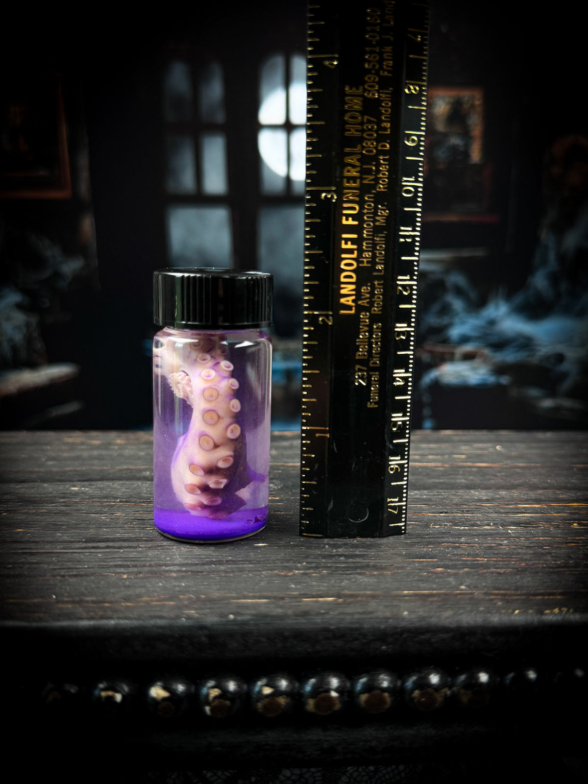 Octopus Tentacle Wet Specimen Vial Rainbow Colored Oddity