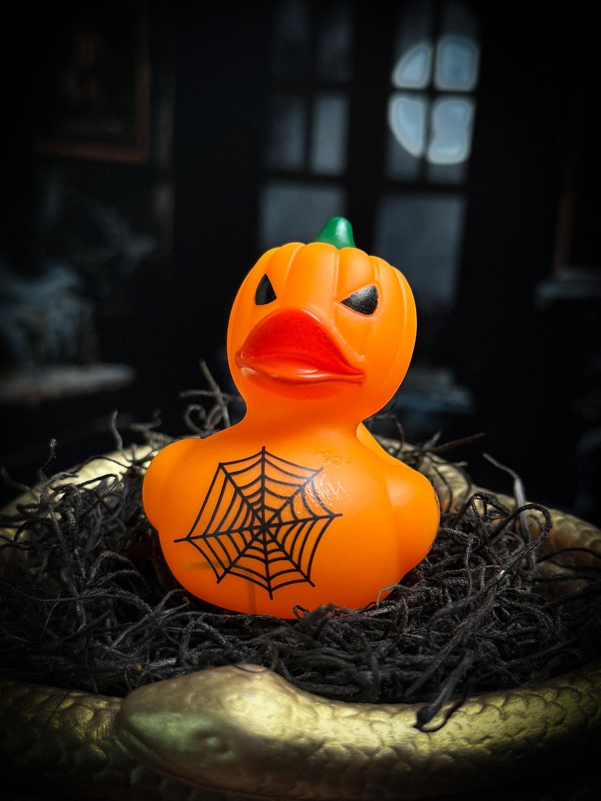 Mystery Spooky Duck