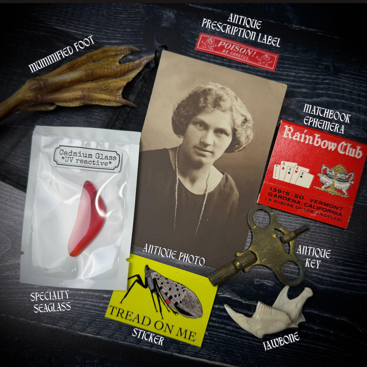 Curated Oddity Mystery Bag