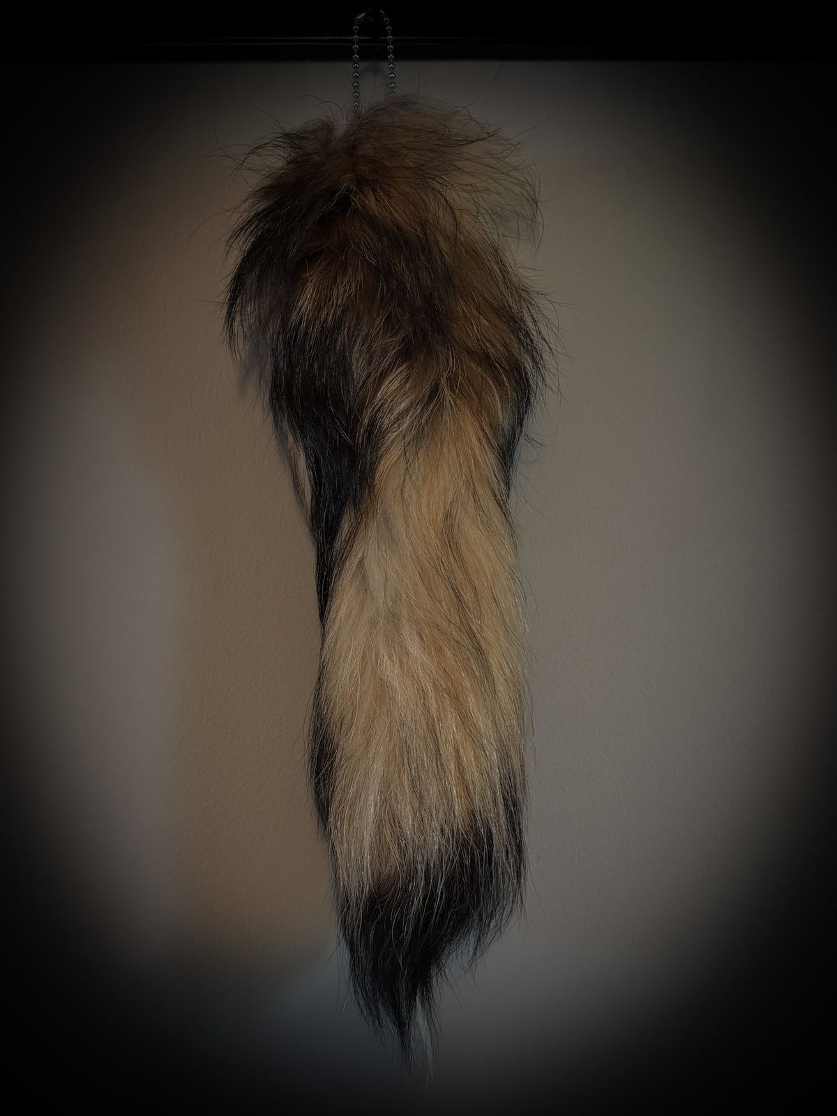 Authentic Fur Finn Raccoon Tail