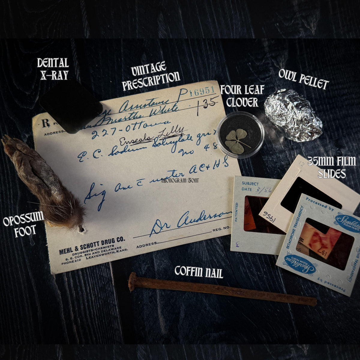 Curated Oddity Mystery Bag