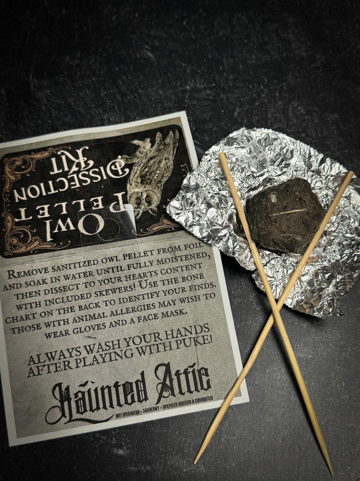 Owl Pellet Dissection Kit