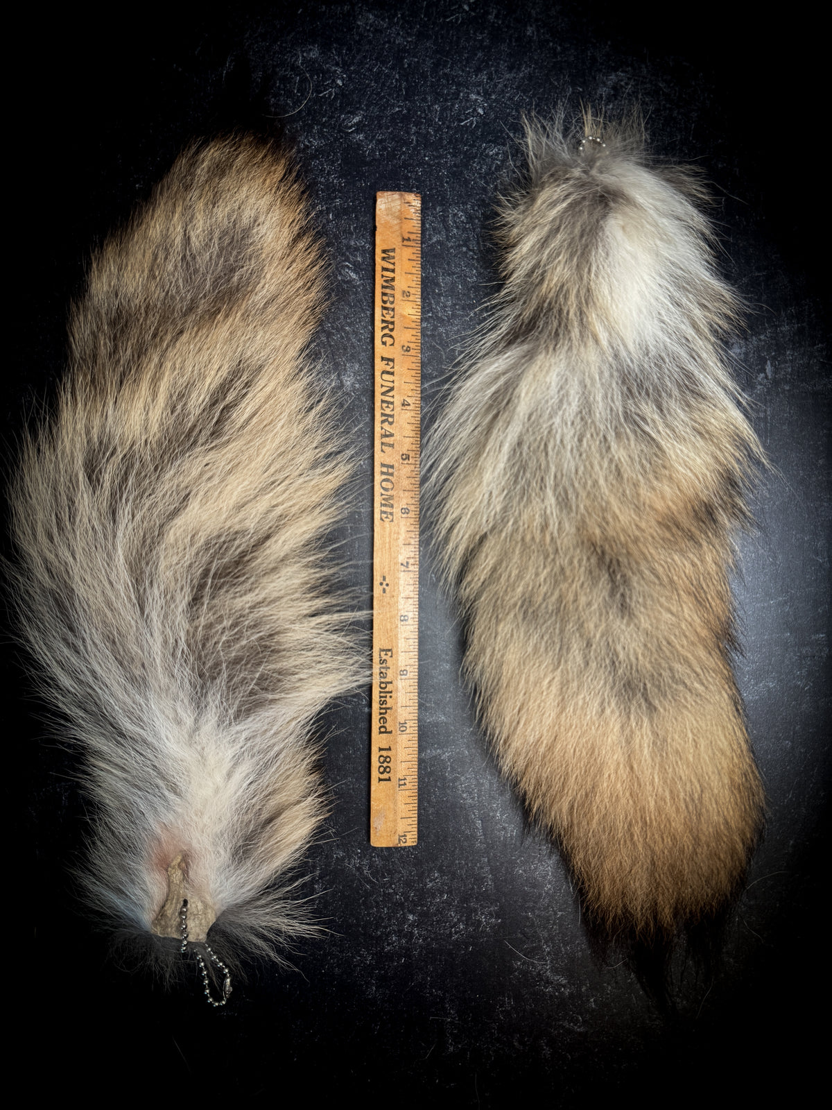 Authentic Fur Coyote Tail
