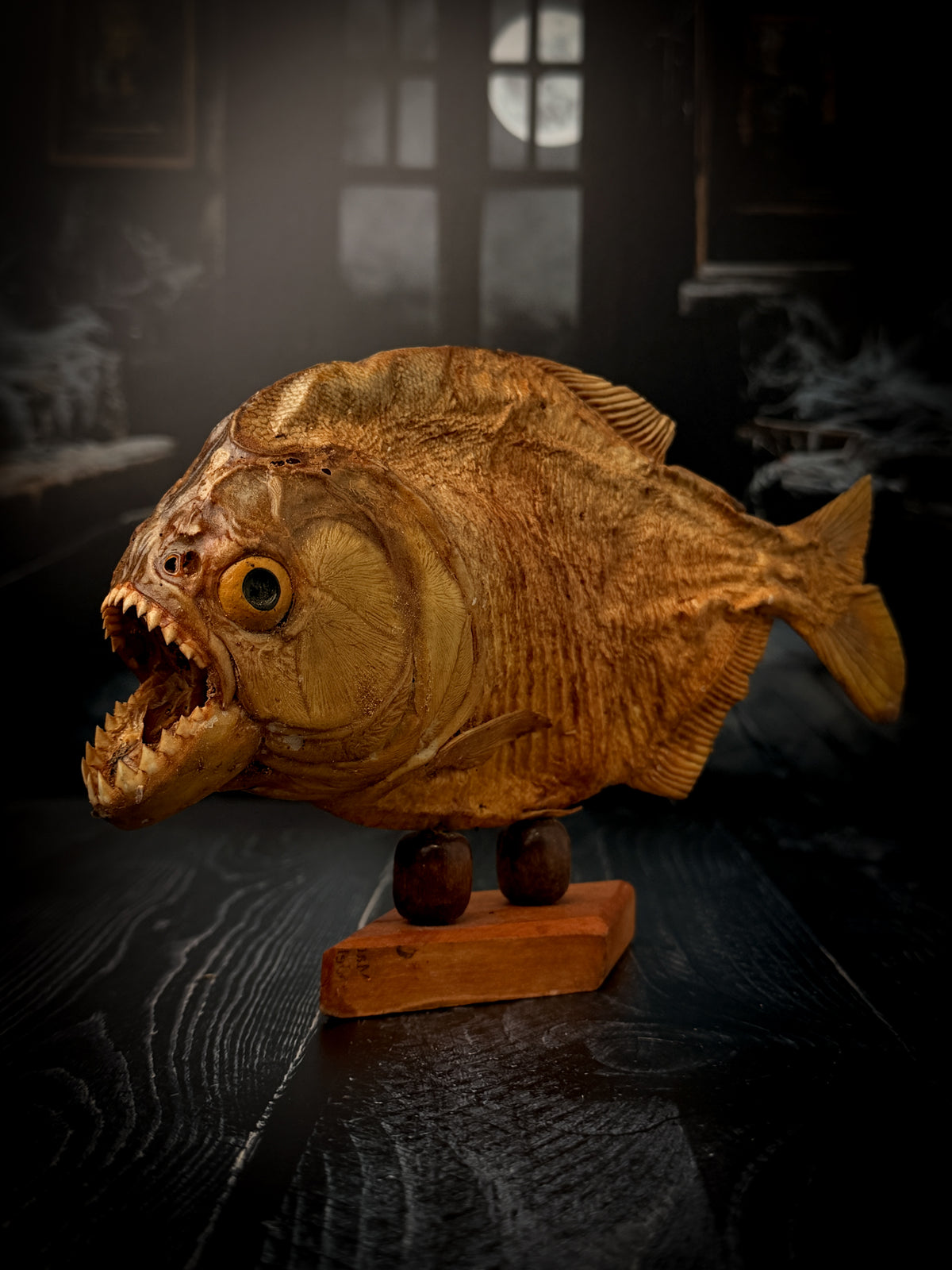Mummified Piranha Mount