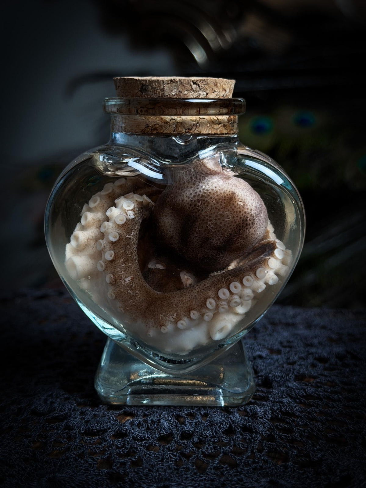 Wet Specimens
