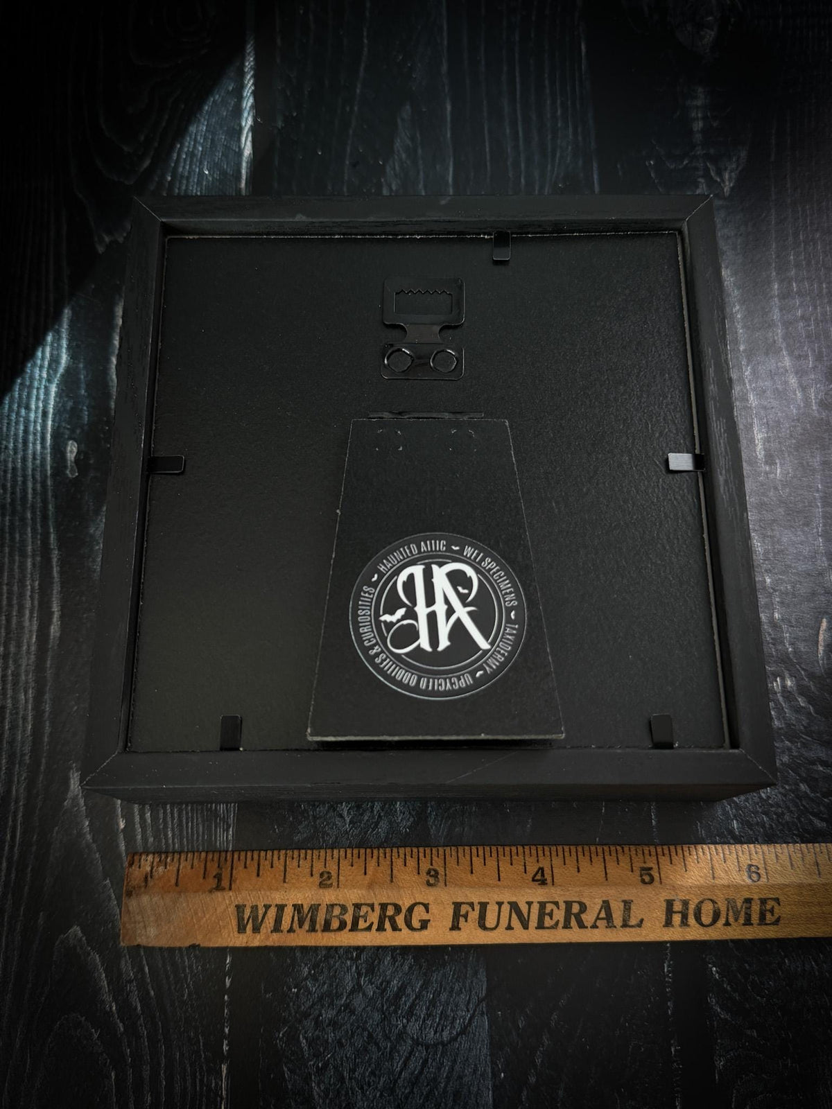 Real Framed Scorpion Shadowbox Display
