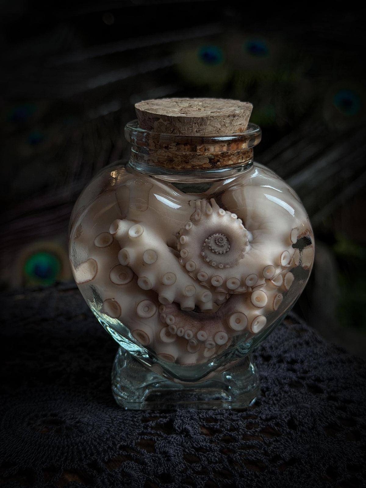 Mini Octopus Tentacle Wet Specimen Heart Bottle
