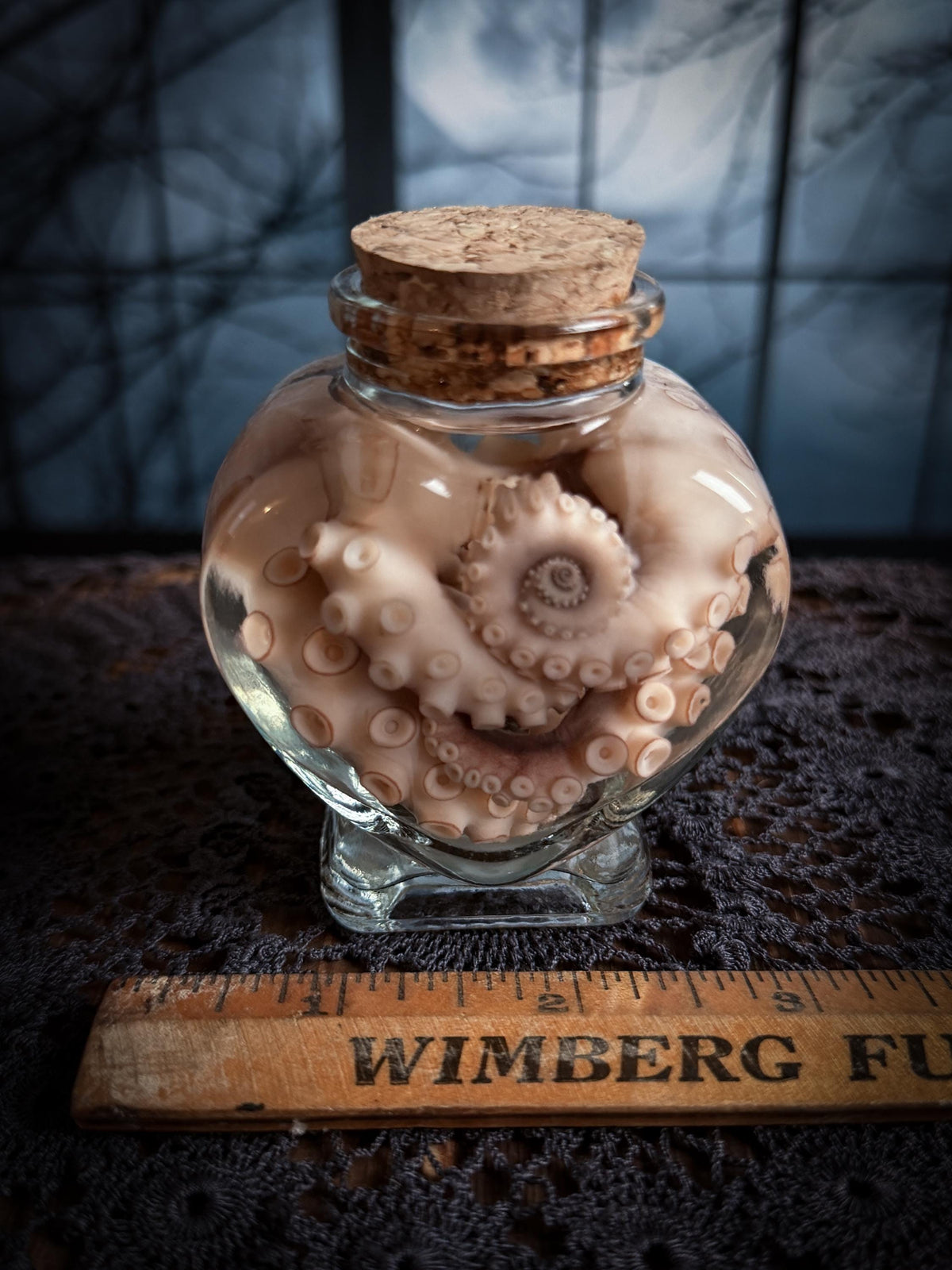 Mini Octopus Tentacle Wet Specimen Heart Bottle