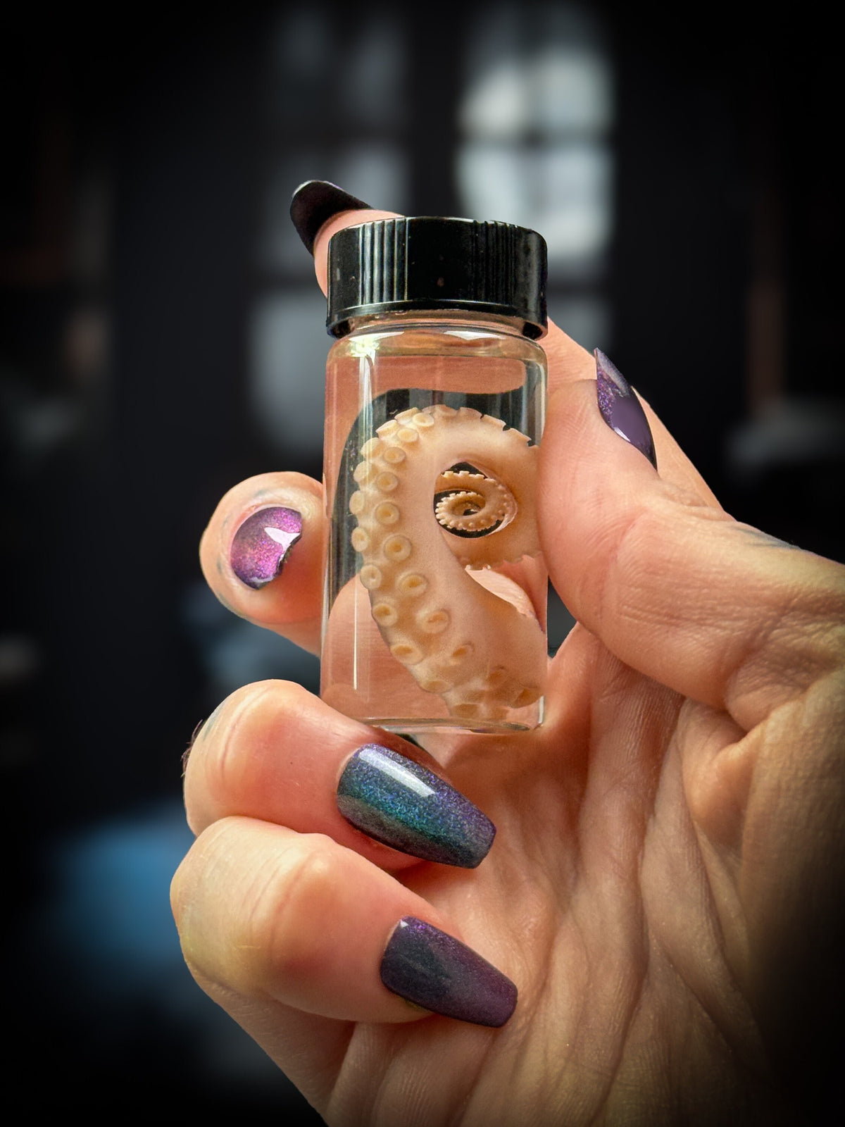 Octopus Tentacle Wet Specimen Curiosity Bottle