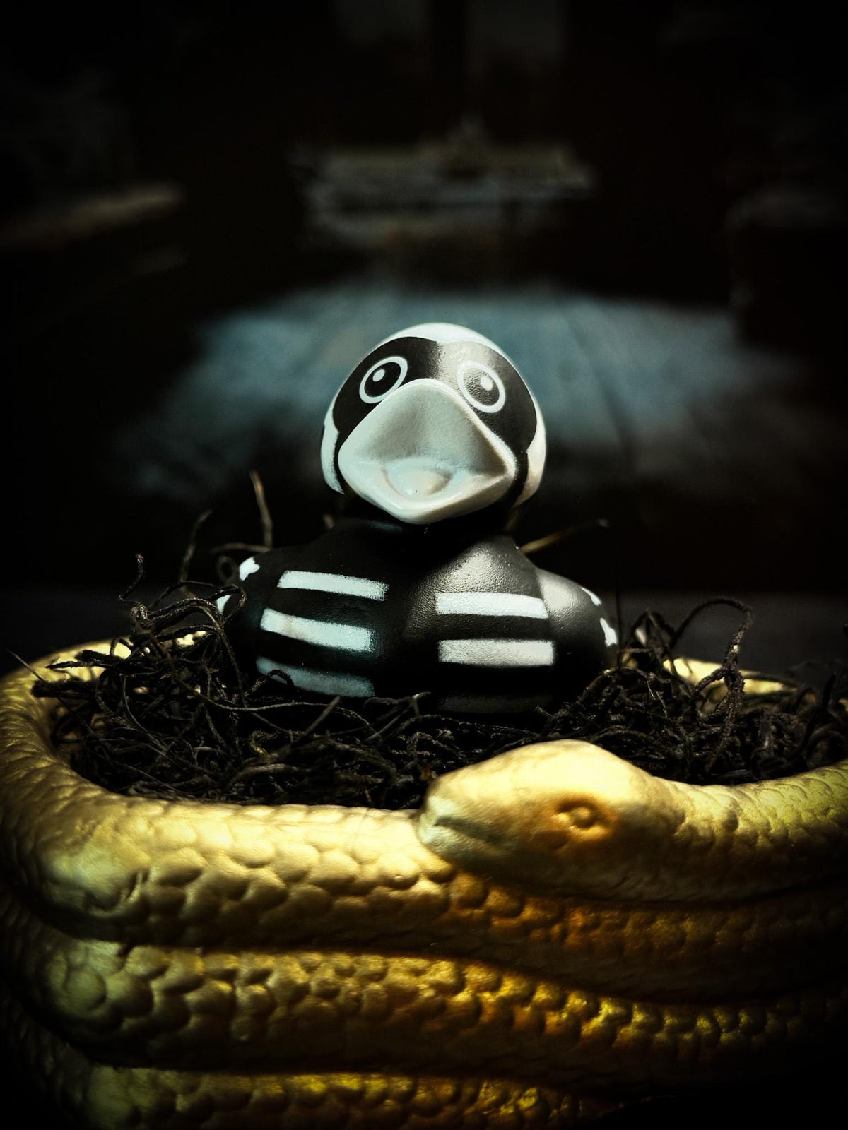 Mystery Spooky Duck