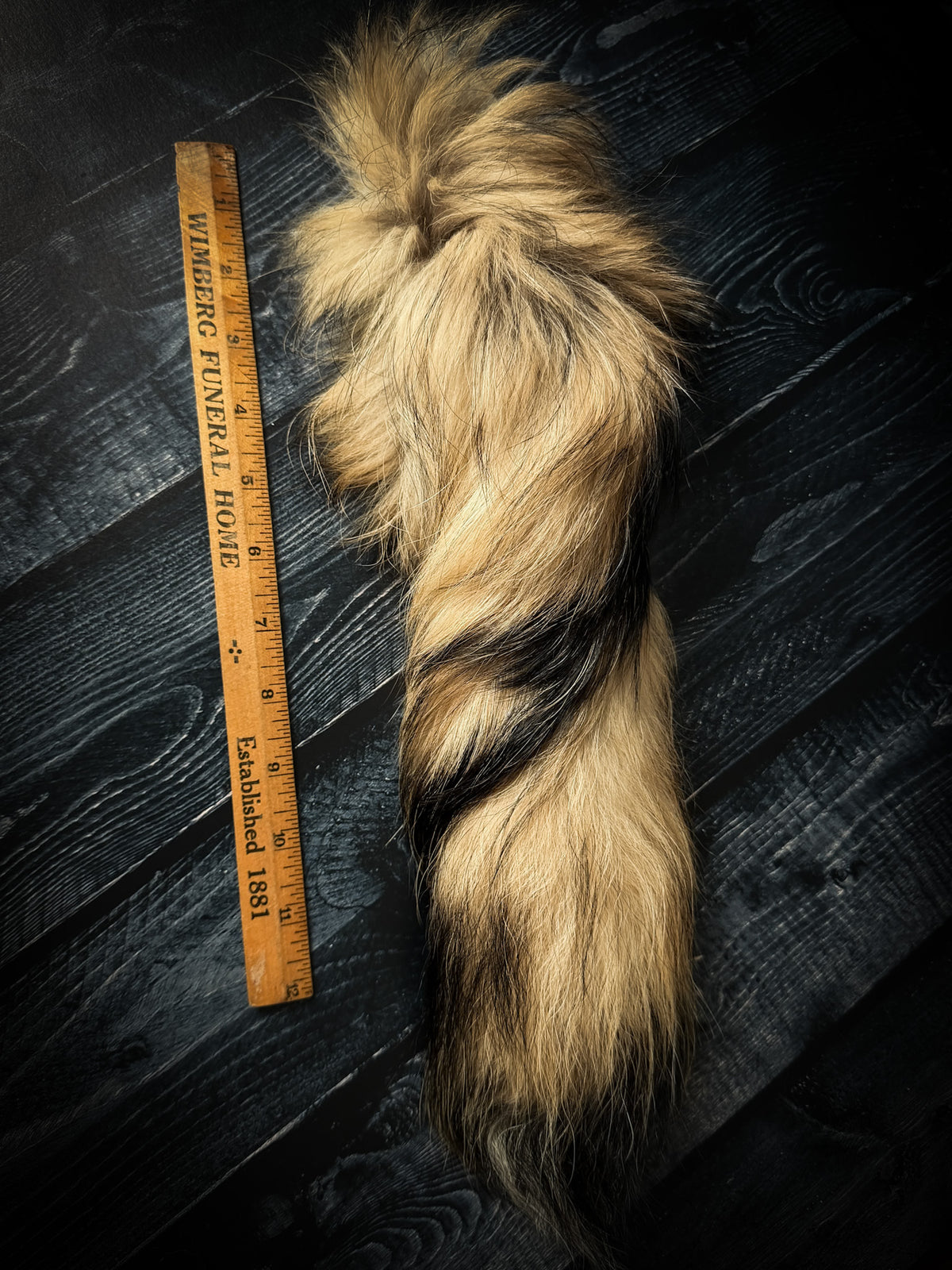 Authentic Fur Finn Raccoon Tail