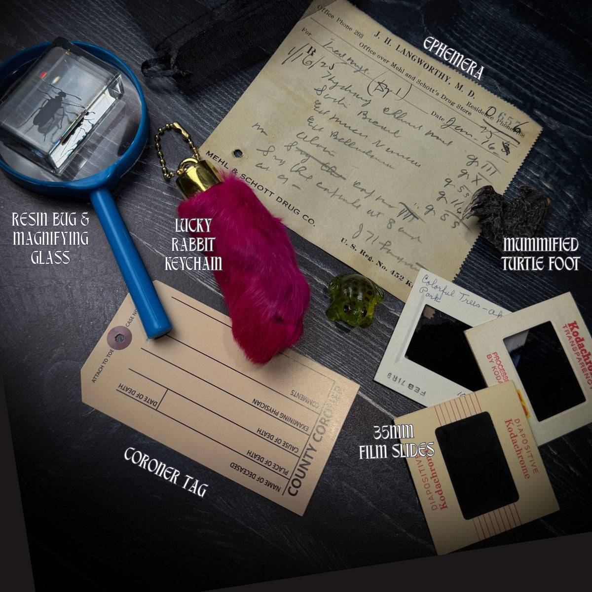 Curated Oddity Mystery Bag