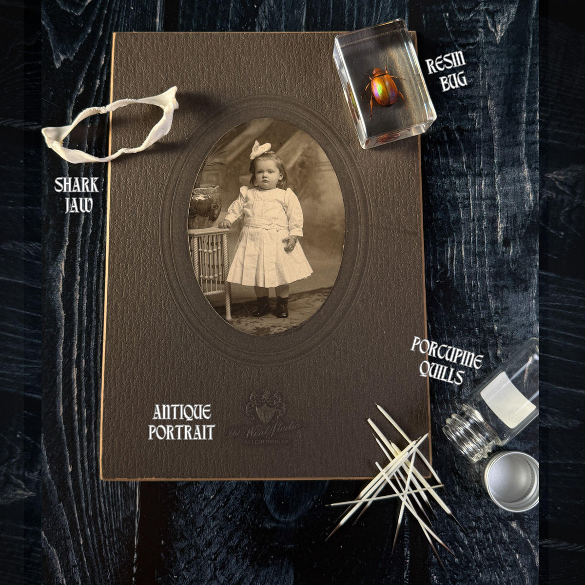 Curated Oddity Mystery Bag
