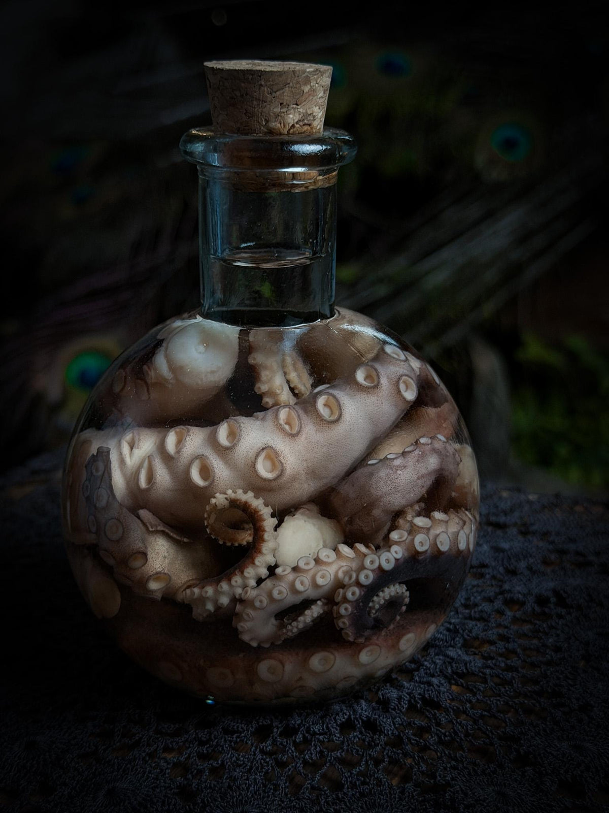 Octopus Tentacle Wet Specimen Potion Bottle