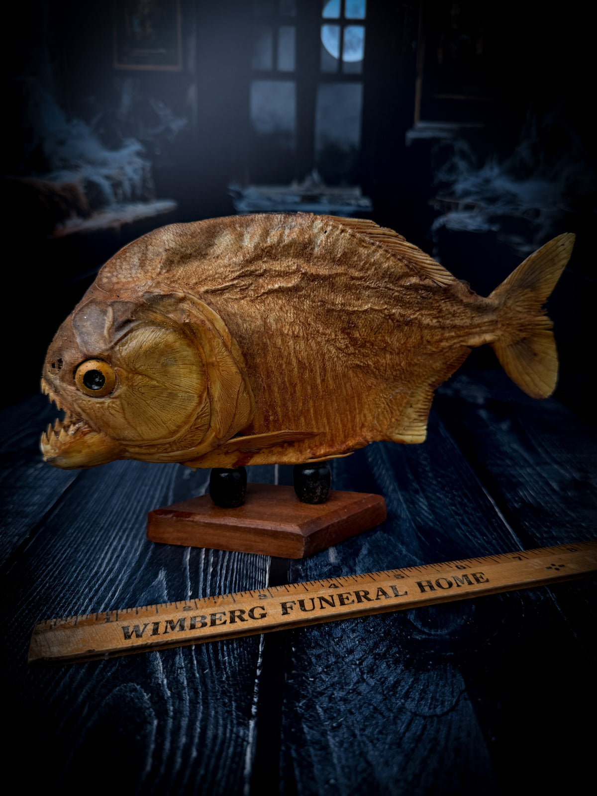 Mummified Piranha Mount