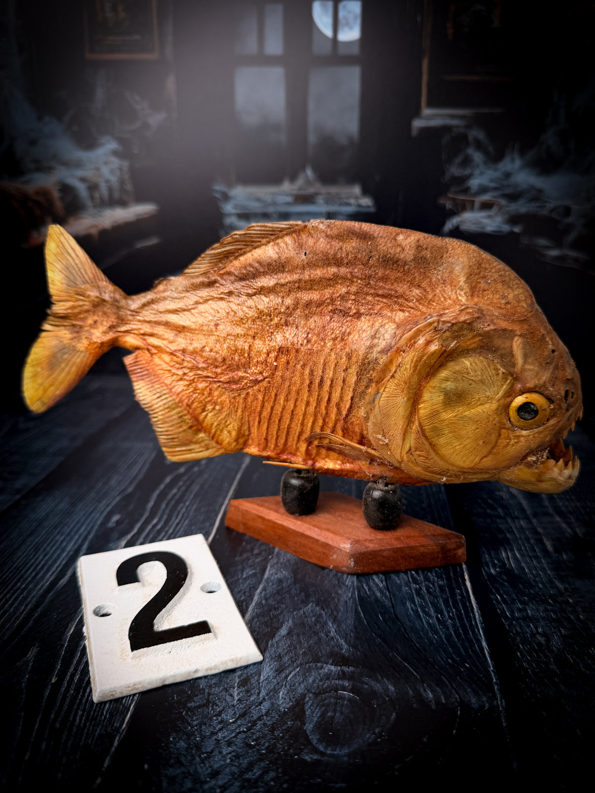 Mummified Piranha Mount