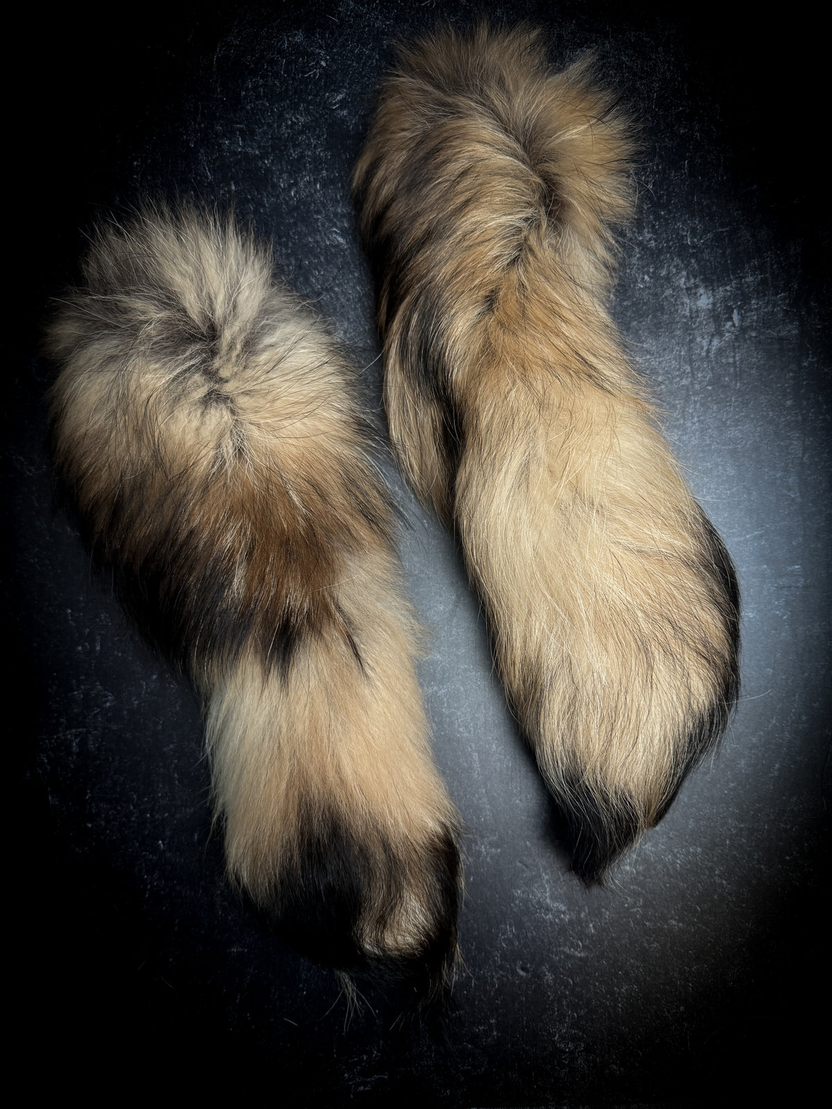 Authentic Fur Tanuki Tail